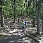 Moseltor