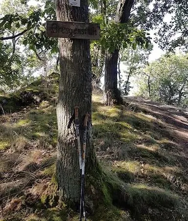 Moseltor Appartamento