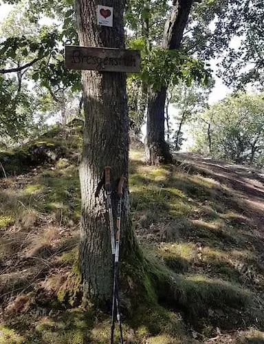 Moseltor Appartement